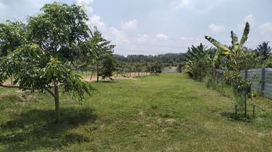 Agricultural Land in Batu Pahat, JHR