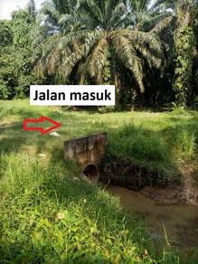 Agricultural Land in Kampong Gajah, PRK