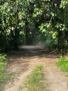 Residential Land in Bukit Mertajam, PNG