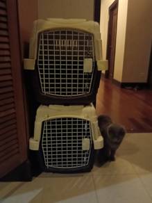 Pet travel crate for sale