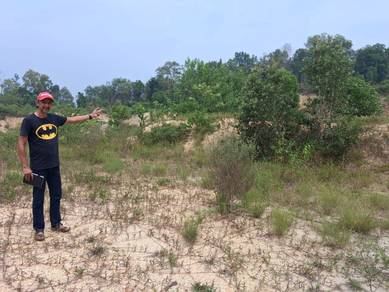 Residential Land in Marang, TRG