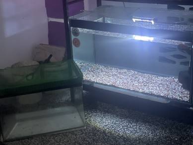 aquarium 2.5 kaki dan 1.5 kaki