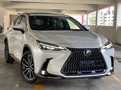 Lexus NX 250 LUXURY in Chan Sow Lin, KUL