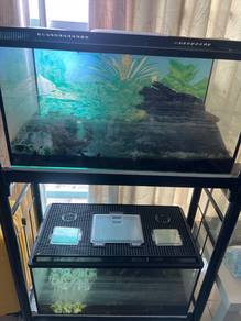 2ft Aquarium to let go