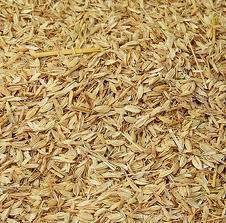 Sekam kuning atau kulit padi 4643