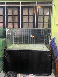 Aquarium 4x2 Feet Untuk Dijual