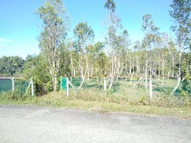 Agricultural Land in Kuala Sungai Baru, MLK