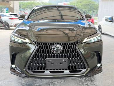 Lexus NX 250 LUXURY in Cheras, KUL