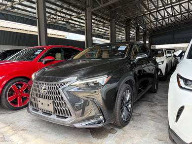 Lexus NX 250 LUXURY in Chan Sow Lin, KUL