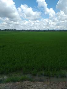Agricultural Land in Kampong Gajah, PRK