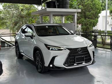 Lexus NX 250 LUXURY in Johor Bahru, JHR