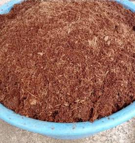 Cocopeat