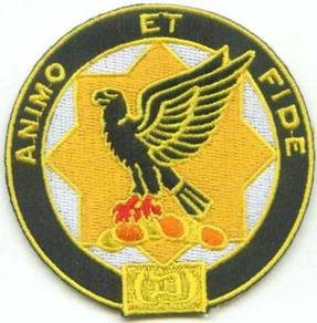 1st Cavalry Regiment of Dragoons DU US Army Patch