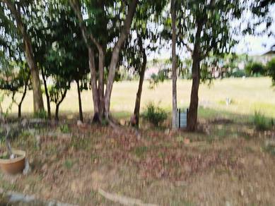 1-storey Terraced House For Sale in Saujana Utama,SGR