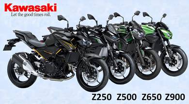 Kawasaki Z 250