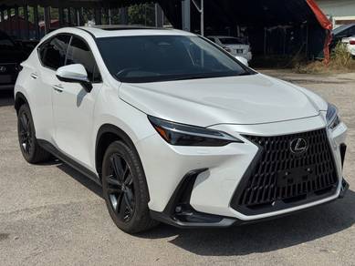 Lexus NX 250 LUXURY in Klang, SGR