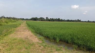 Agricultural Land in Bota, PRK