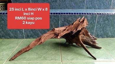 set driftwood 2pcs untuk tank Channa