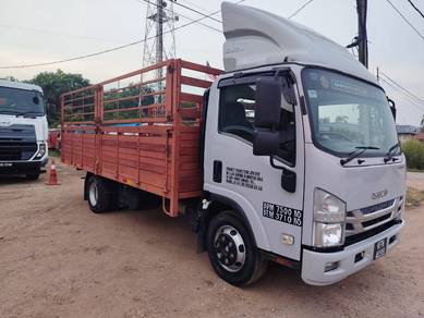 Isuzu NPR81 Kargo Am 17ft 2023year