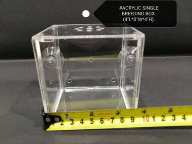 Acrylic Single Fish Breeding Box Aquarium Tank