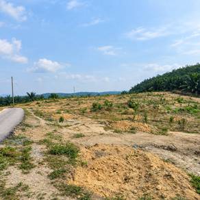 Agricultural Land in Selandar, MLK