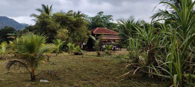 Agricultural Land in Hulu Langat, SGR