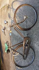 Raleigh 