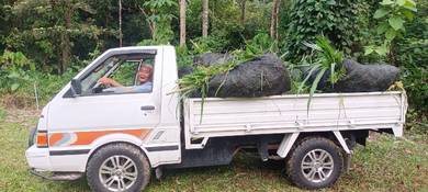 Nissan Vanette AUTHENTIC in Kota Bharu, KTN