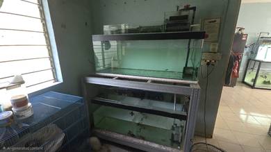 4FT standard tank 