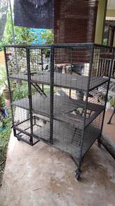 untuk pencinta kucing