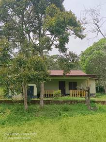 Residential Land in Lendu, MLK