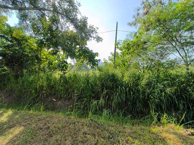 Agricultural Land in Kangar, PLS