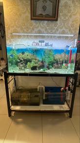 Aquarium Sets with rack