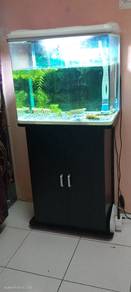 aquarium 1.5kaki cabinet sekali ikan chaana