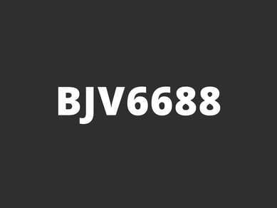BJV6688