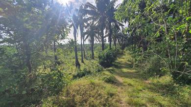 Agricultural Land in Kuala Ketil, KDH