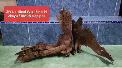 Design akar driftwood untuk AQUASCAPE tank padu