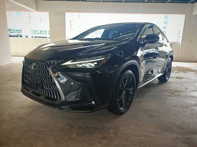 Lexus NX 250 LUXURY in Desa Petaling, KUL