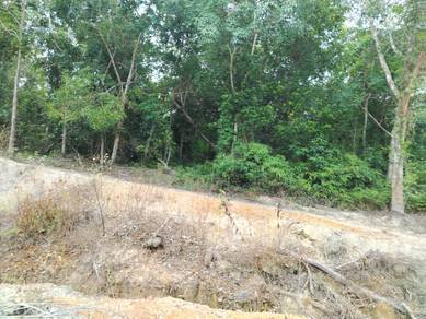 Agricultural Land in Marang, TRG