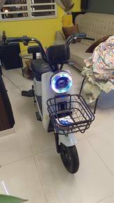 electric motor