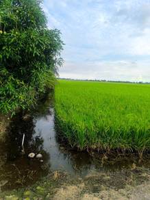 Agricultural Land in Sekinchan, SGR