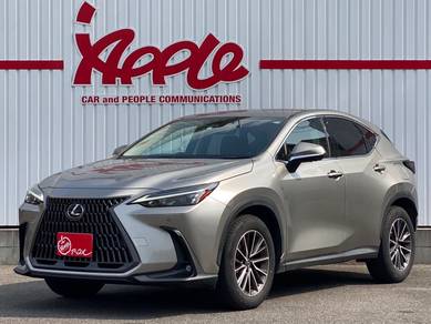 Lexus NX 250 BASE GRADE in Klang, SGR