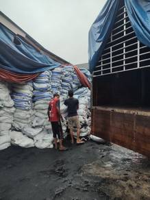 Sekam padi untuk tanaman min 200bag keatas