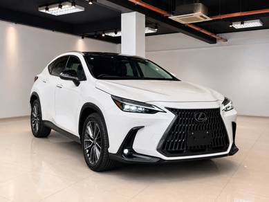 Lexus NX 250 LUXURY in Puchong, KUL