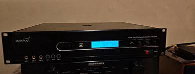 Audiofrog D300P is a professional-grade karaoke