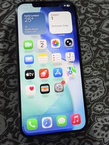 iPhone 12 Pro Max promax padu