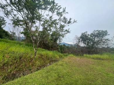 Agricultural Land in Besut, TRG