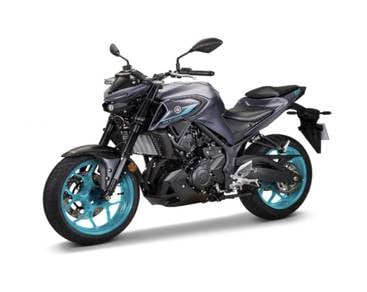 Yamaha MT250