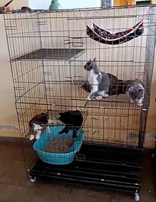 Cat House 3 Level