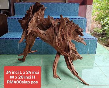 Masterpiece aquarium driftwood HUGE SIZE